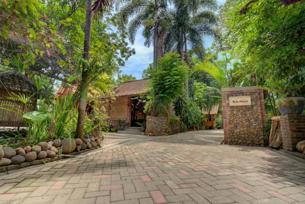 Bata Merah Homestay Banyuwangi  Buitenkant foto