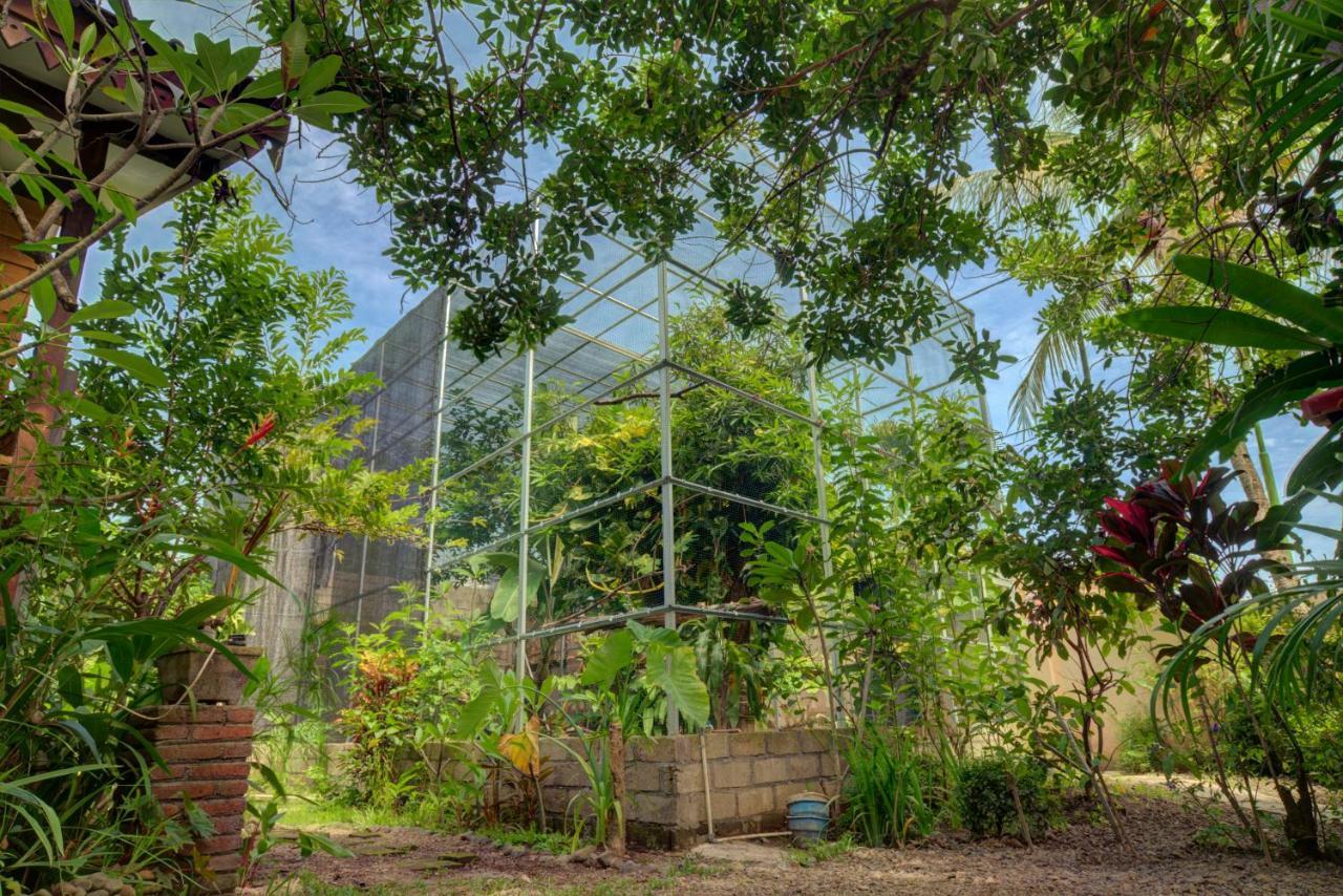Bata Merah Homestay Banyuwangi  Buitenkant foto