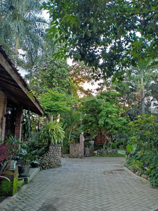 Bata Merah Homestay Banyuwangi  Buitenkant foto