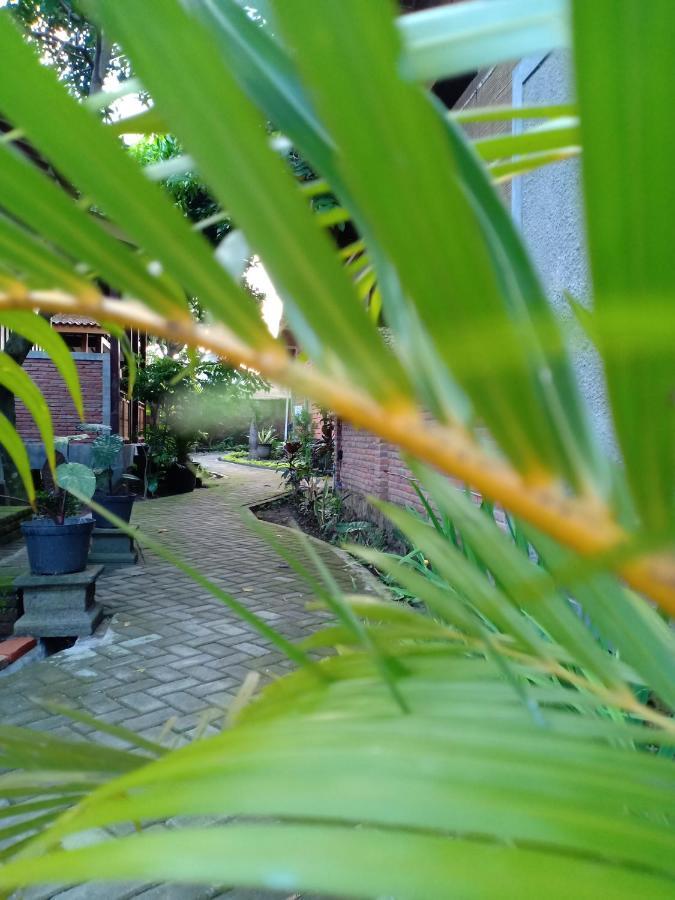 Bata Merah Homestay Banyuwangi  Buitenkant foto