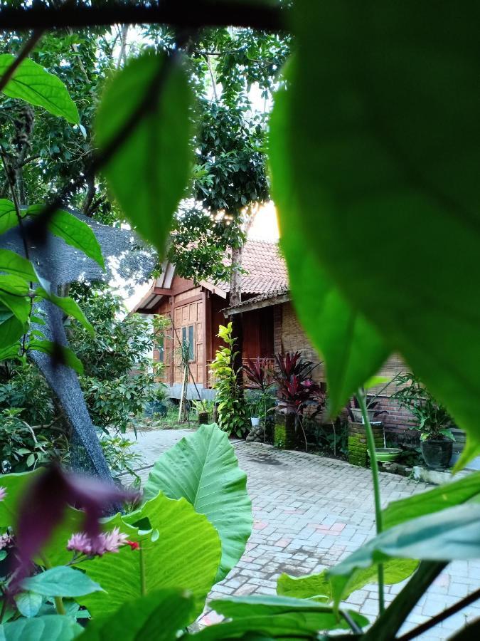 Bata Merah Homestay Banyuwangi  Buitenkant foto