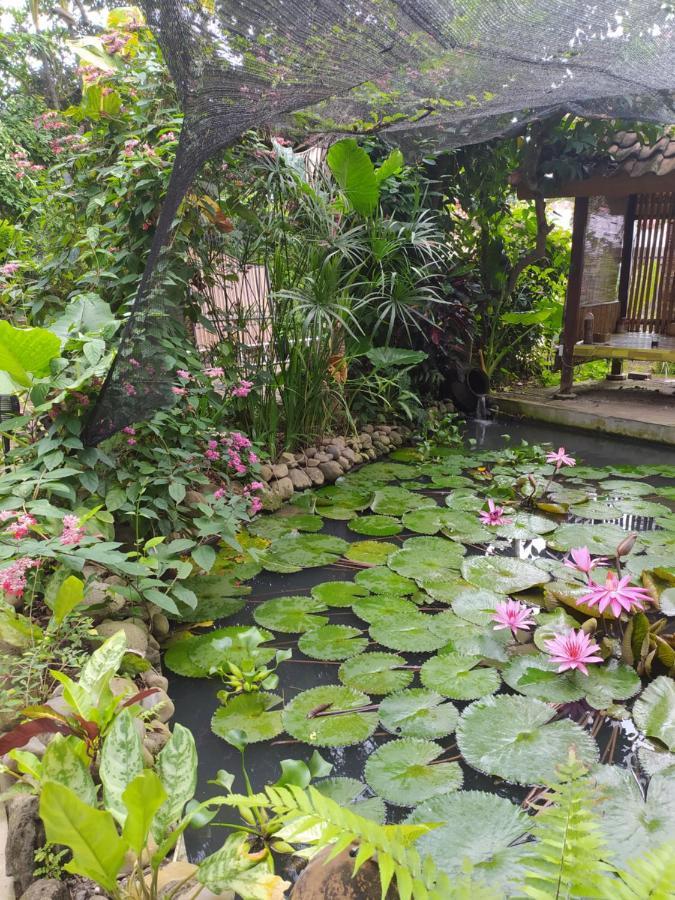 Bata Merah Homestay Banyuwangi  Buitenkant foto