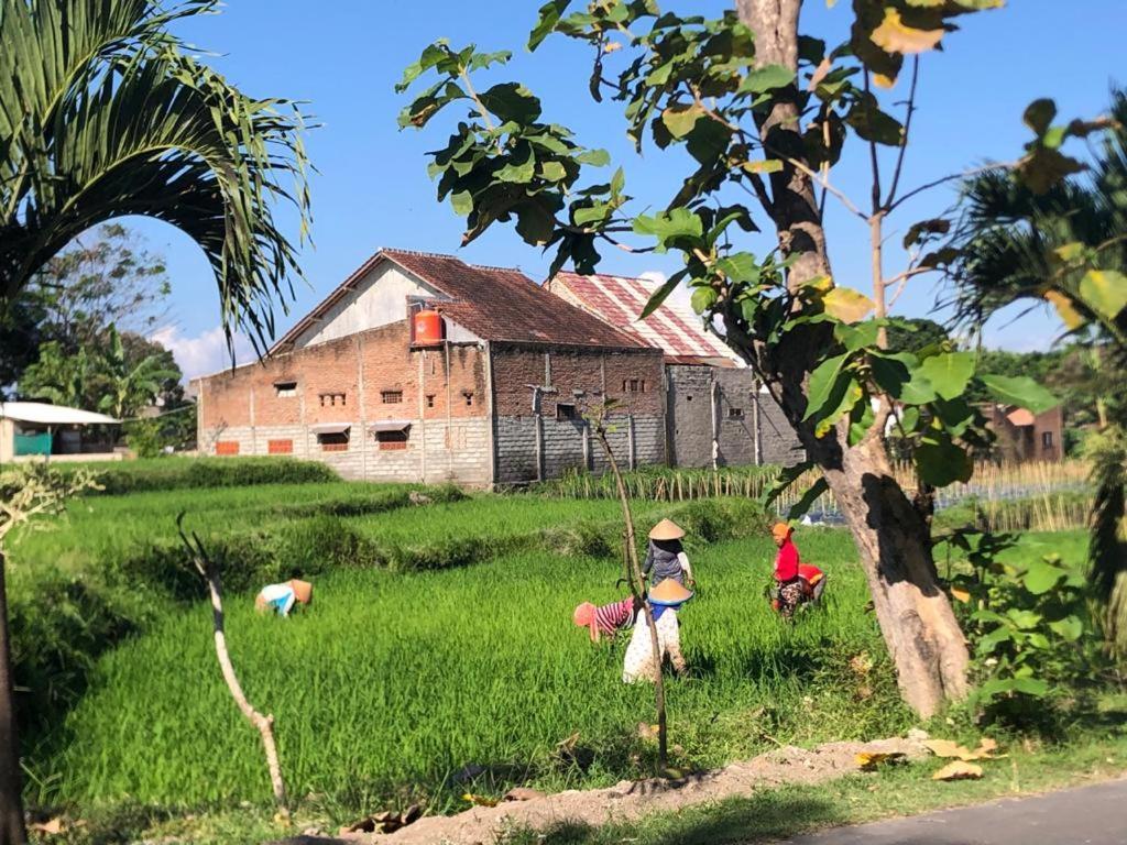 Bata Merah Homestay Banyuwangi  Buitenkant foto